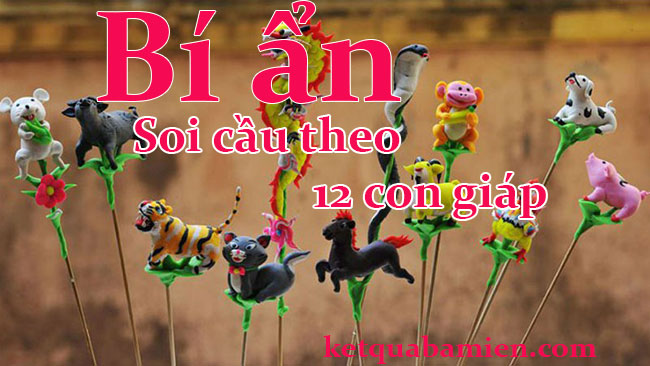 Bi-quyet-soi-cau-theo-12-con-giap